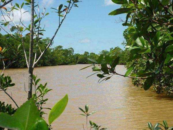 Massive price reduction - Riverfront Property With Creek Access - 183 Acres - Perfect For...