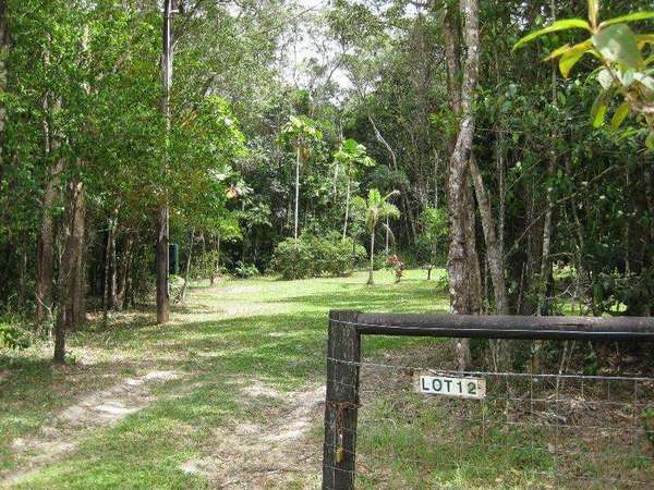 Affordable Daintree Magic