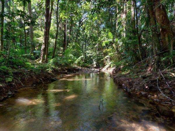 A Magical Daintree Retreat