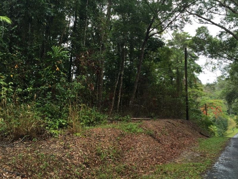 RUSSETT PARK RAINFOREST ACREAGE